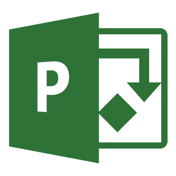 Microsoft Project Professional