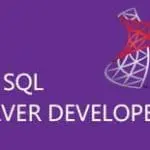 SQL Server Developer